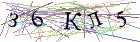 Введите текст с картинки