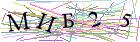 Введите текст с картинки