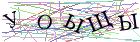 Введите текст с картинки