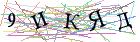 Введите текст с картинки