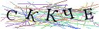 Введите текст с картинки