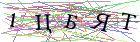 Введите текст с картинки