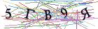 Введите текст с картинки