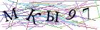 Введите текст с картинки
