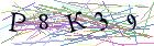 Введите текст с картинки