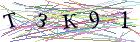 Введите текст с картинки