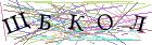 Введите текст с картинки