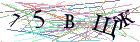 Введите текст с картинки