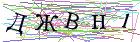 Введите текст с картинки