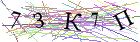 Введите текст с картинки