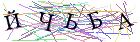 Введите текст с картинки