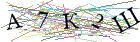Введите текст с картинки