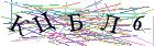 Введите текст с картинки