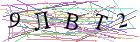Введите текст с картинки