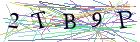 Введите текст с картинки