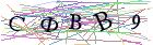 Введите текст с картинки
