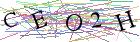 Введите текст с картинки