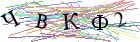 Введите текст с картинки