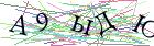 Введите текст с картинки