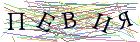 Введите текст с картинки