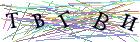 Введите текст с картинки