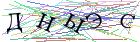 Введите текст с картинки