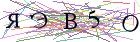 Введите текст с картинки