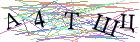 Введите текст с картинки