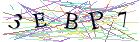 Введите текст с картинки