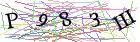 Введите текст с картинки