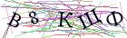 Введите текст с картинки