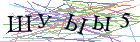Введите текст с картинки