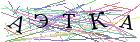 Введите текст с картинки