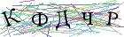Введите текст с картинки