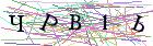 Введите текст с картинки