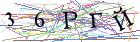 Введите текст с картинки