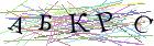 Введите текст с картинки