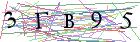 Введите текст с картинки