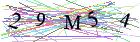 Введите текст с картинки