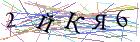 Введите текст с картинки