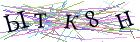 Введите текст с картинки
