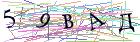 Введите текст с картинки