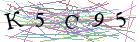 Введите текст с картинки