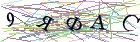 Введите текст с картинки