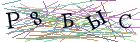 Введите текст с картинки