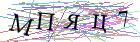 Введите текст с картинки