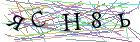 Введите текст с картинки