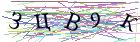 Введите текст с картинки