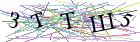 Введите текст с картинки