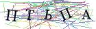Введите текст с картинки